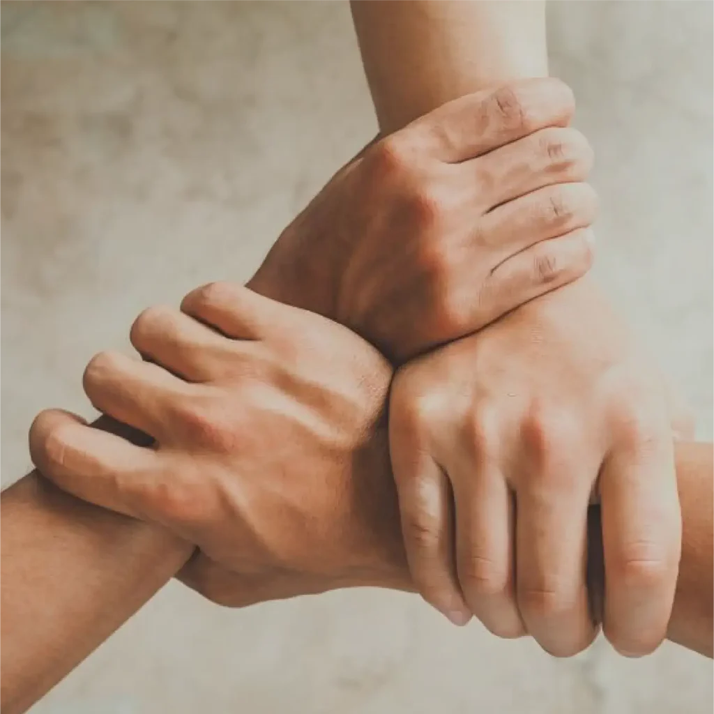 | Social Impact | TriVA Global